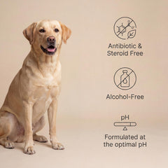 Goldie Dog Essentials Miracle Mist – soin sur patte, utilisation quotidienne pour peau sensible.