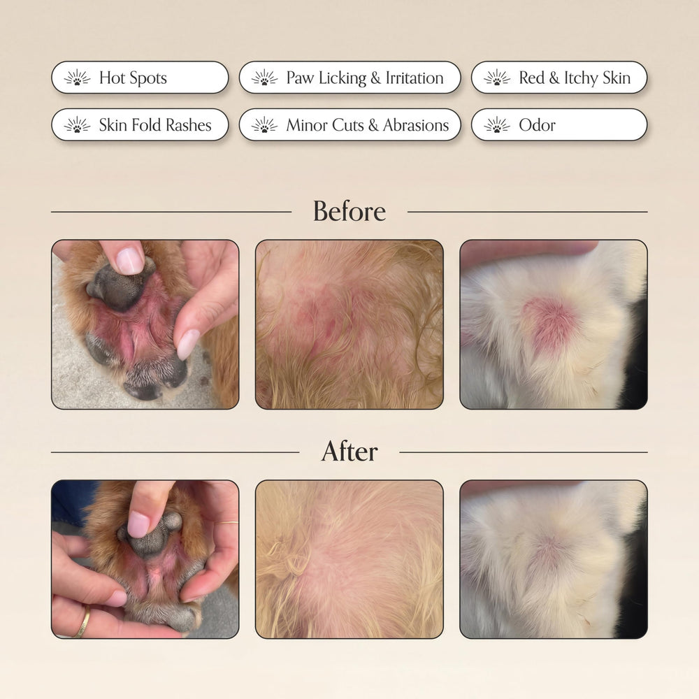 Goldie Dog Essentials Miracle Mist – emballage pratique pour la trousse de soins du chien.