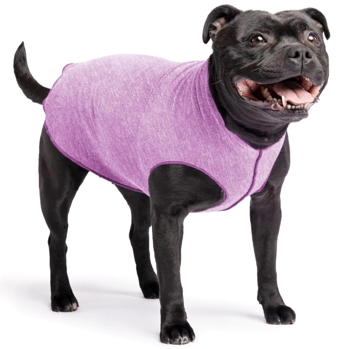 Goldpaw chemise UV 50+, protège la peau lors des sorties en plein soleil.