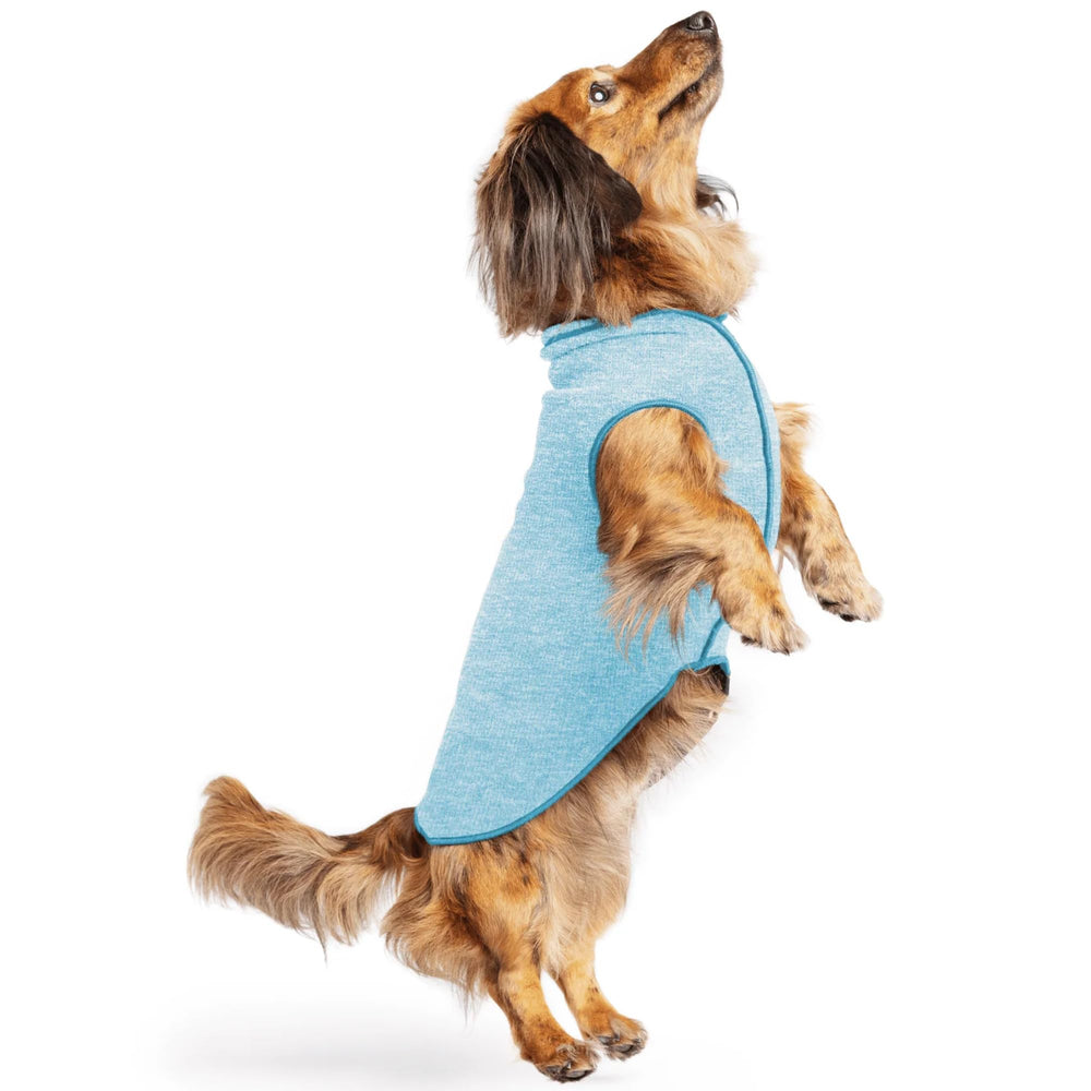 Goldpaw chemise solaire bleu océan vue avant, protection UV pour chien.