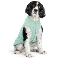 Goldpaw chemise soleil pour chien vert pistache: protection UV et confort.