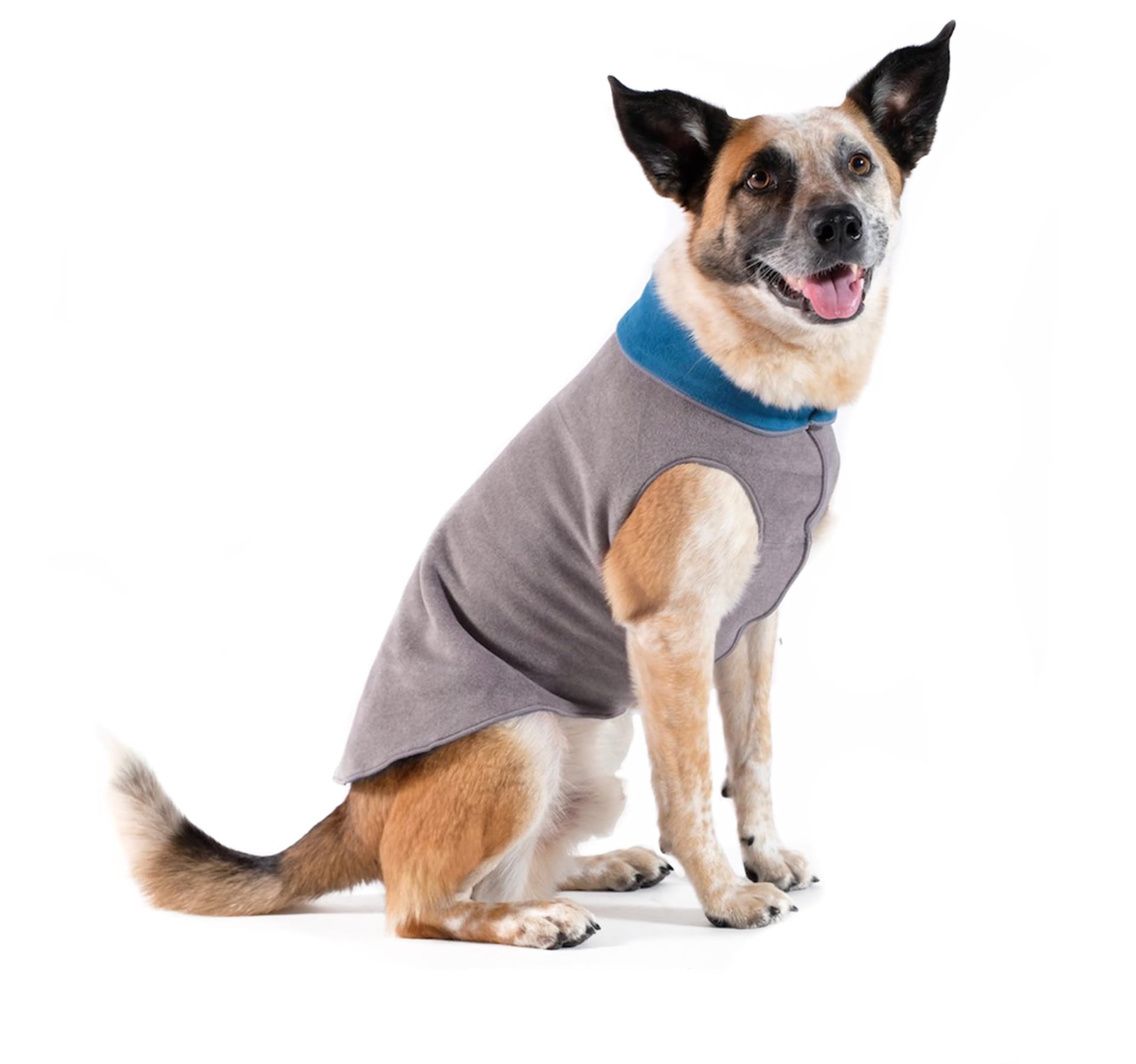 Gold Paw Duluth Double Fleece, gilet pour petit chien, chaleur douce en automne.