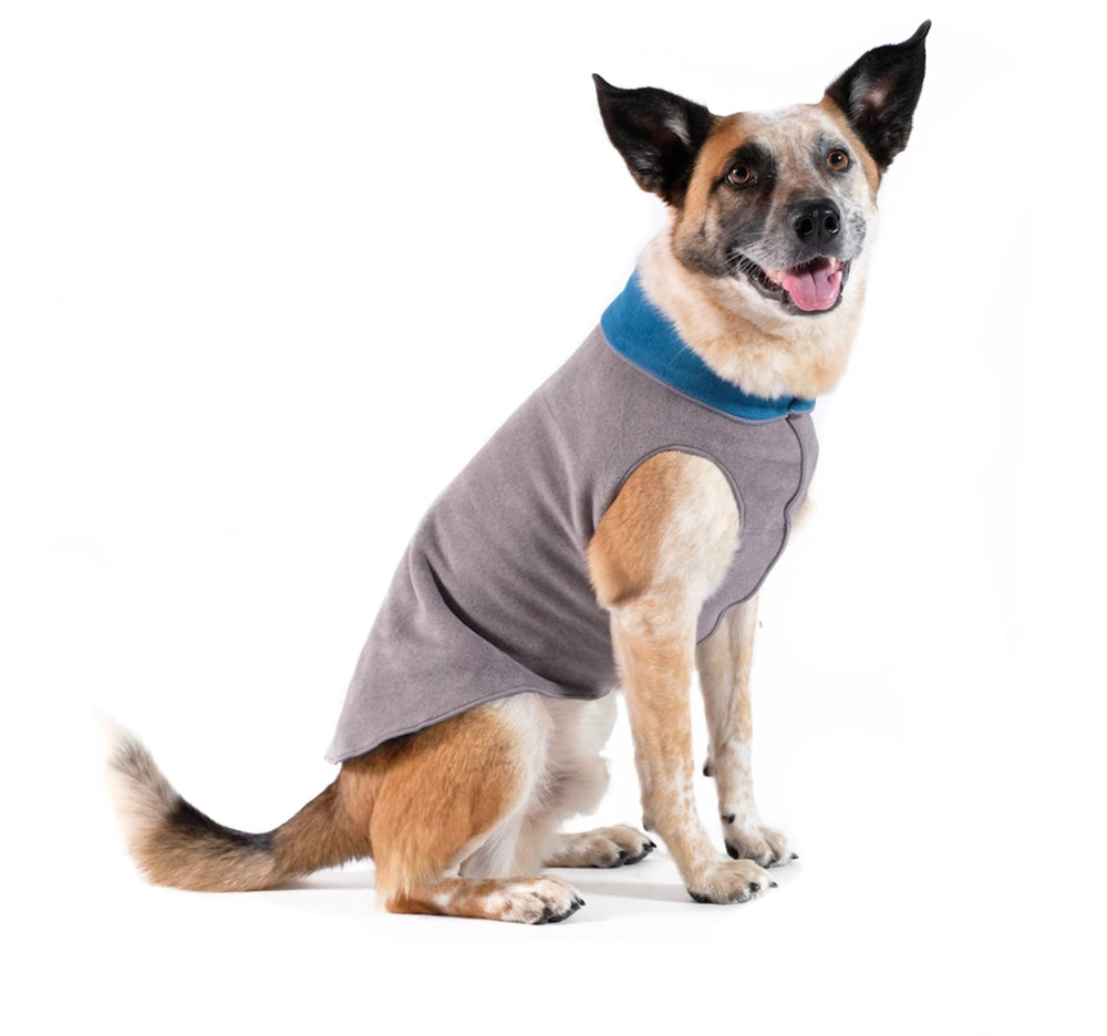 Goldpaw Duluth gilet polaire double, vue avant, chaleur agréable pour chien moyen l'hiver