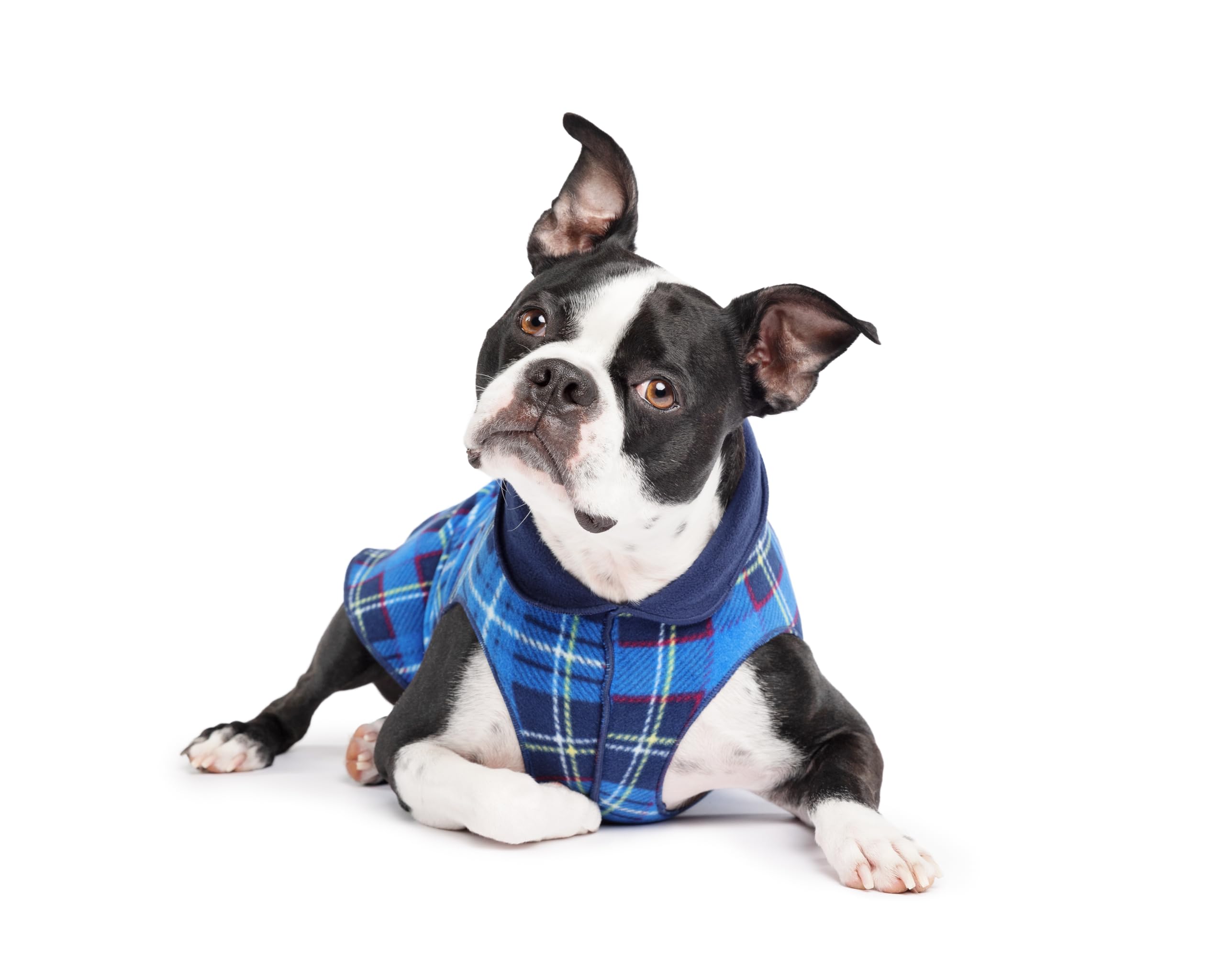 Goldpaw Duluth, pull bleu carreaux, pour petit chien, chaleur agréable.