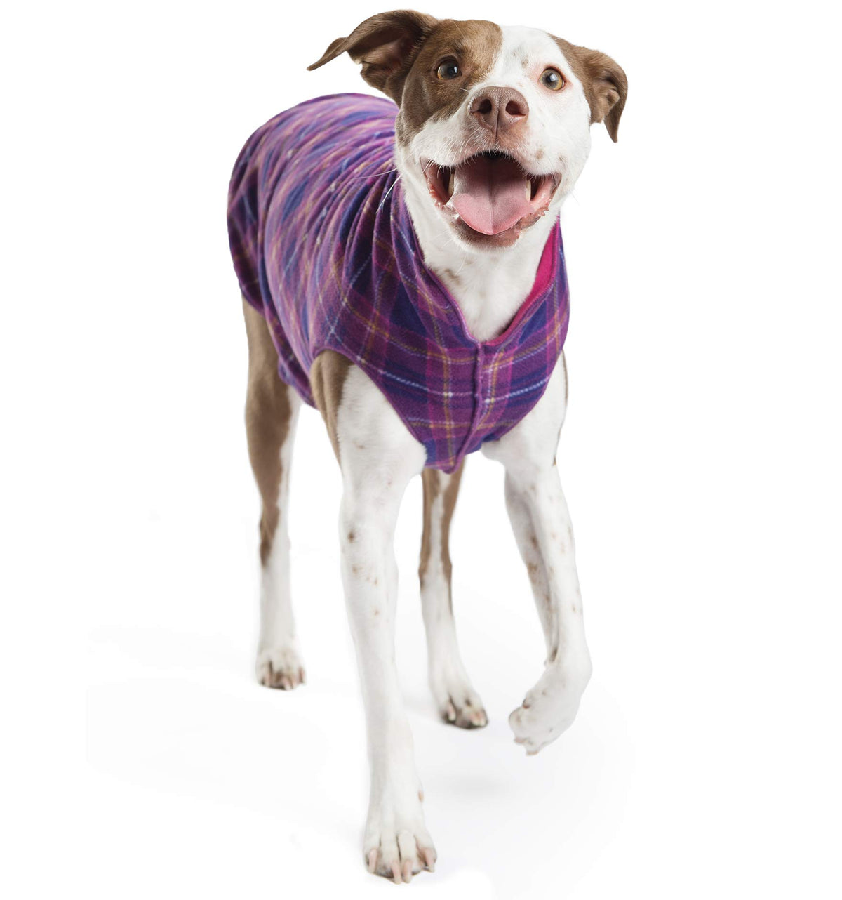Gilet Goldpaw Duluth vue avant, chaleur et confort pour petit chien.