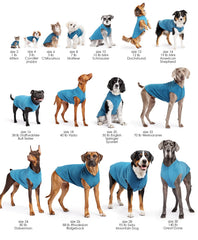 Goldpaw Duluth gilet-polaire double petit chien confort pendant les balades quotidiennes