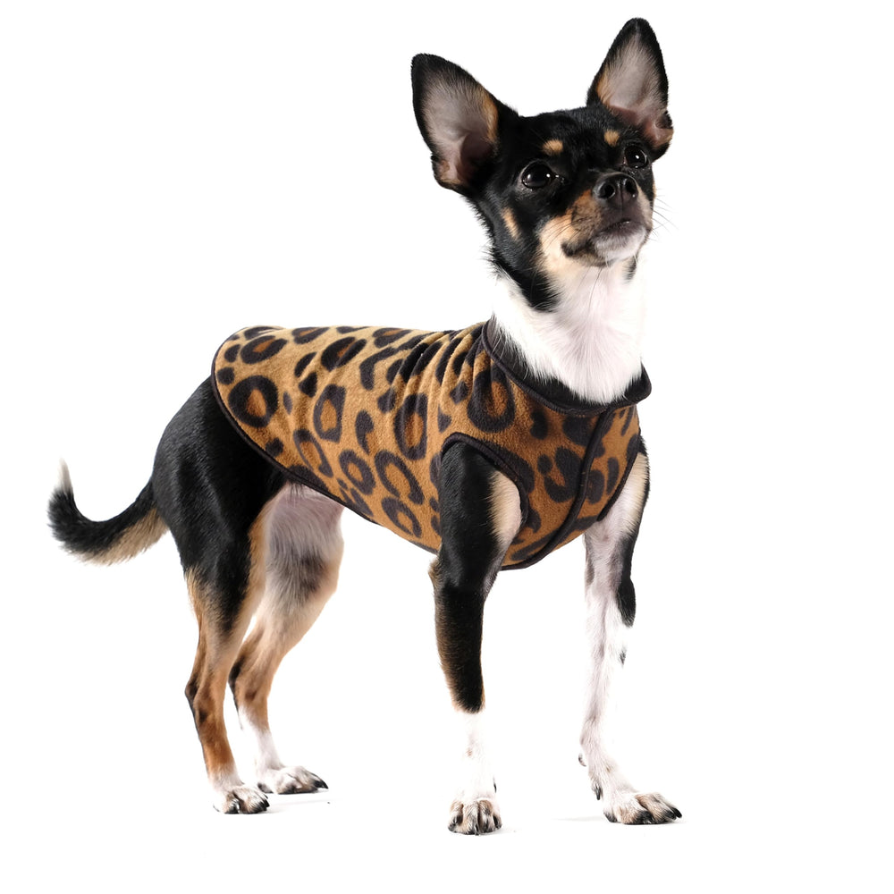 Goldpaw pour petit chien, polaire double, imprimé léopard, chaleur douce pour l’automne.