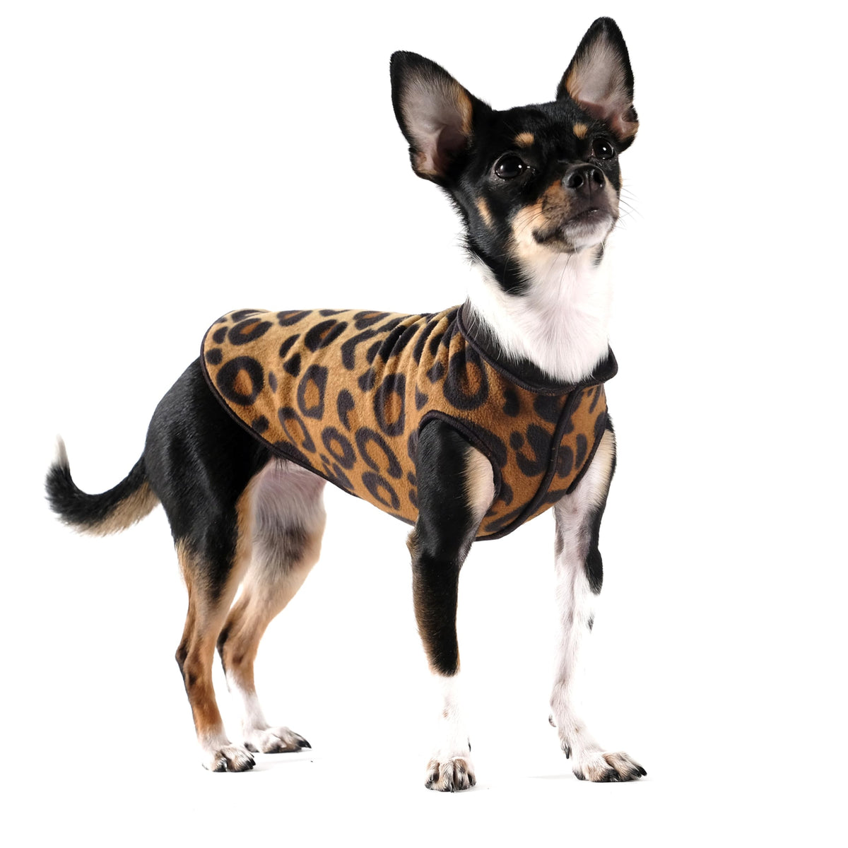 Goldpaw pour petit chien, polaire double, imprimé léopard, chaleur douce pour l’automne.