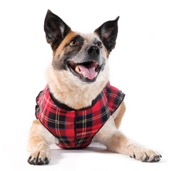 Goldpaw Duluth vue avant, veste polaire double pour petit chien couleur rouge tartan/noir, chaleur confortable