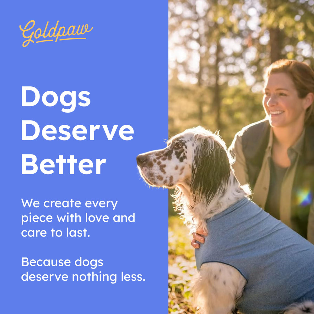 Goldpaw lavable en machine: entretien pratique et vêtement chien réutilisable.