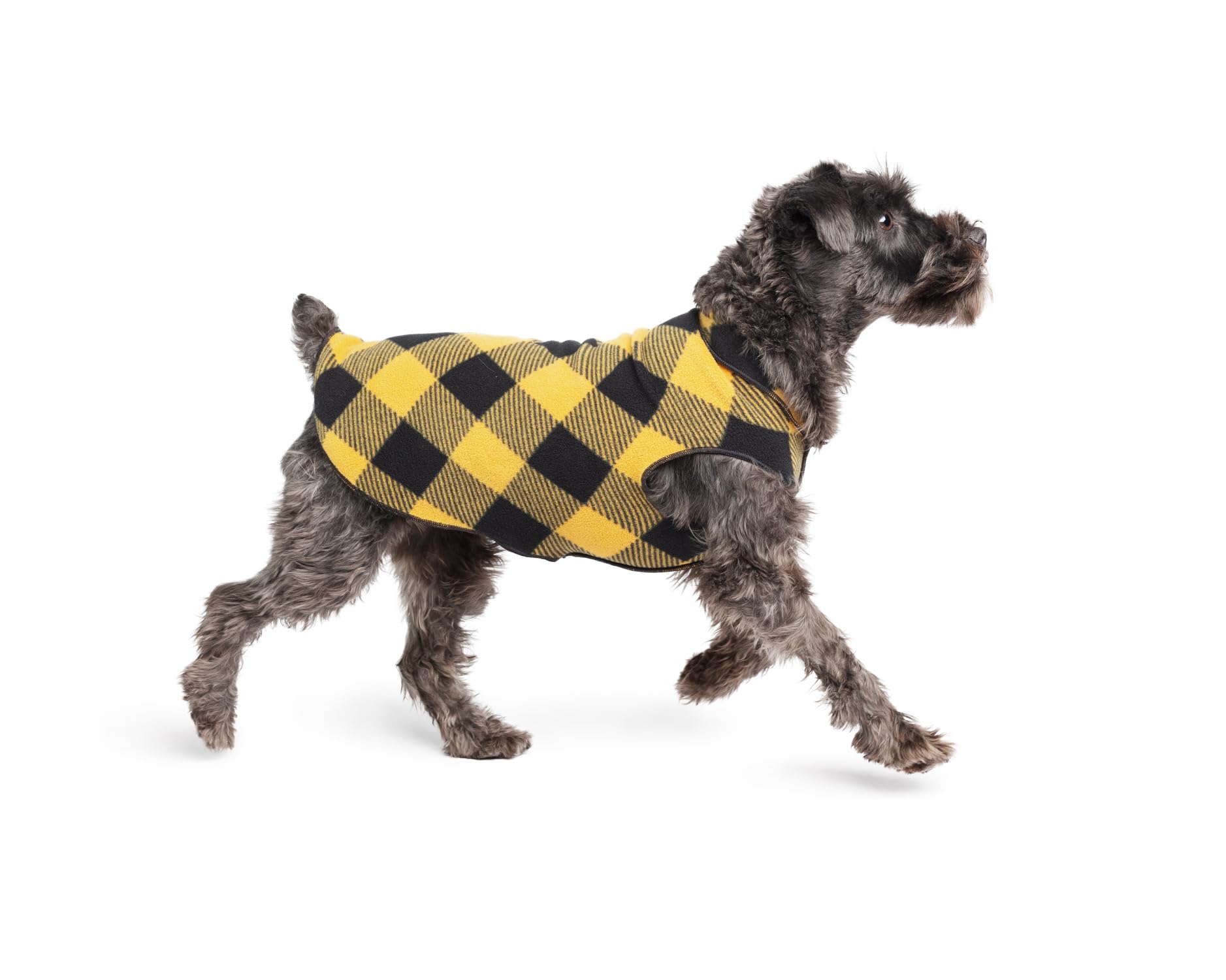 Pull Goldpaw en polaire stretch sur chien, confort hivernal.
