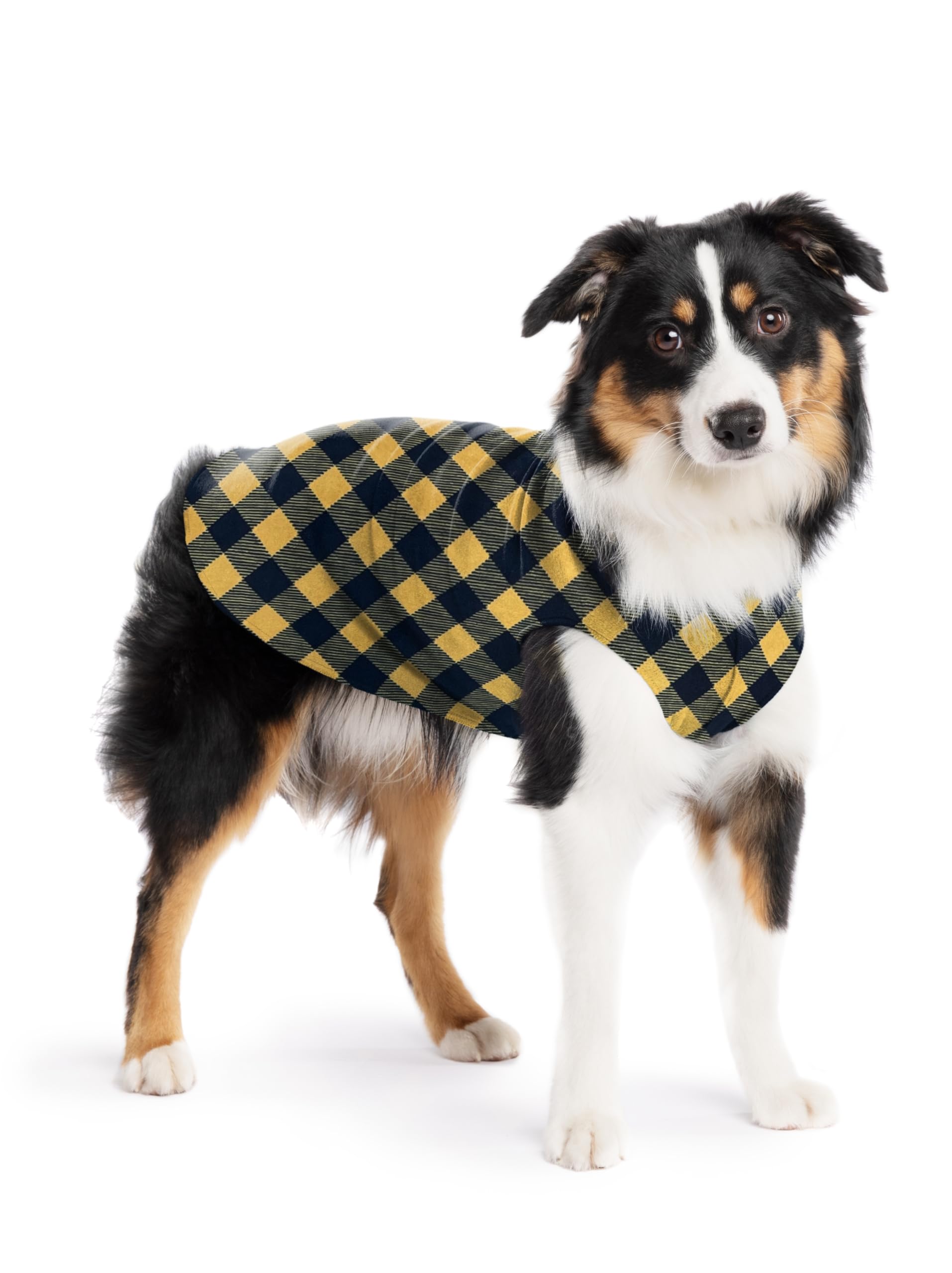 Pull-polaire extensible Gold Paw pour chiens, chaleur et mobilité lors des promenades.