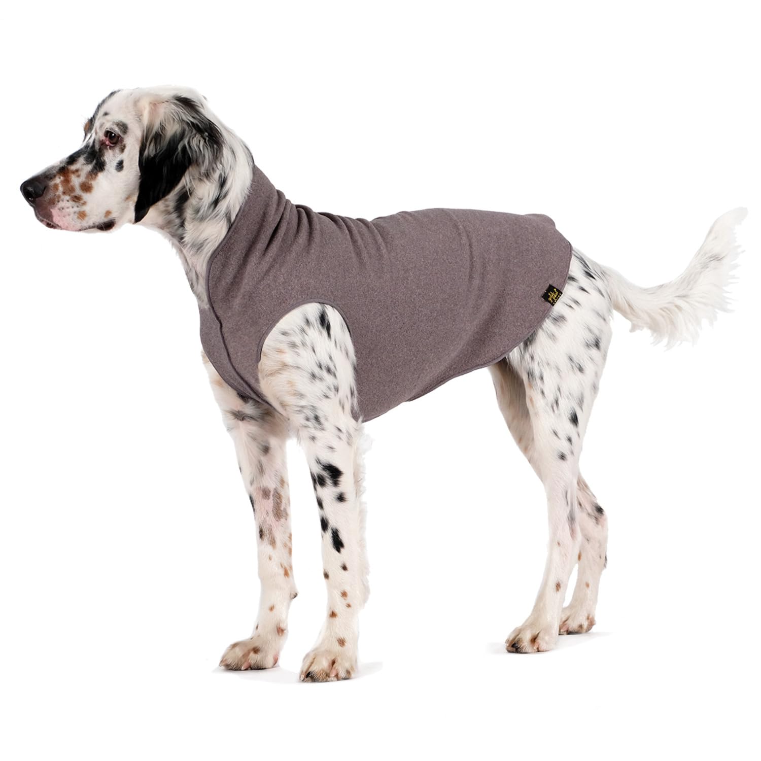 Pull polaire stretch Gold Paw pour chien, chaleur et liberté de mouvement.