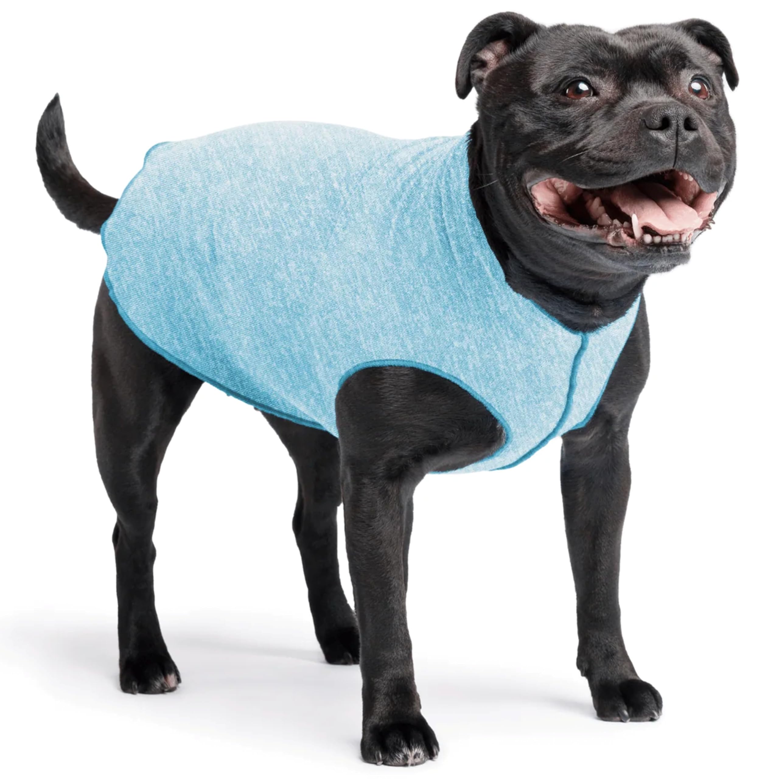 Chemise Goldpaw pour chien en bleu avec protection ultraviolet, parfaite en sorties ensoleillées.