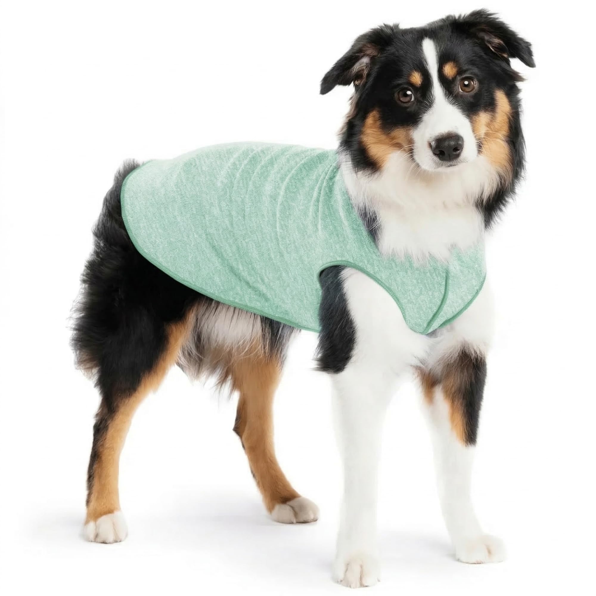 Goldpaw chemise-chien protection UV 50+, idéal pour sorties soleil.