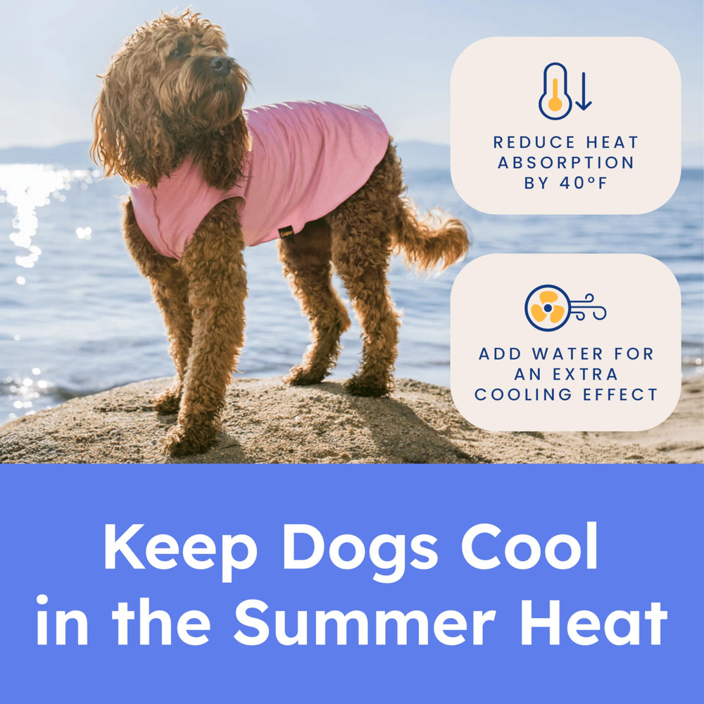 Goldpaw Shirt Recovery, confort et protection des zones sensibles.