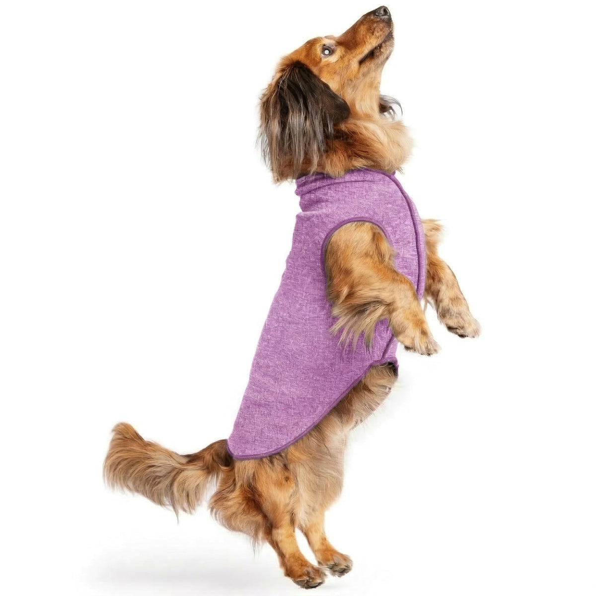 Goldpaw Sun Shirt pour chien, protection UV efficace et légère.
