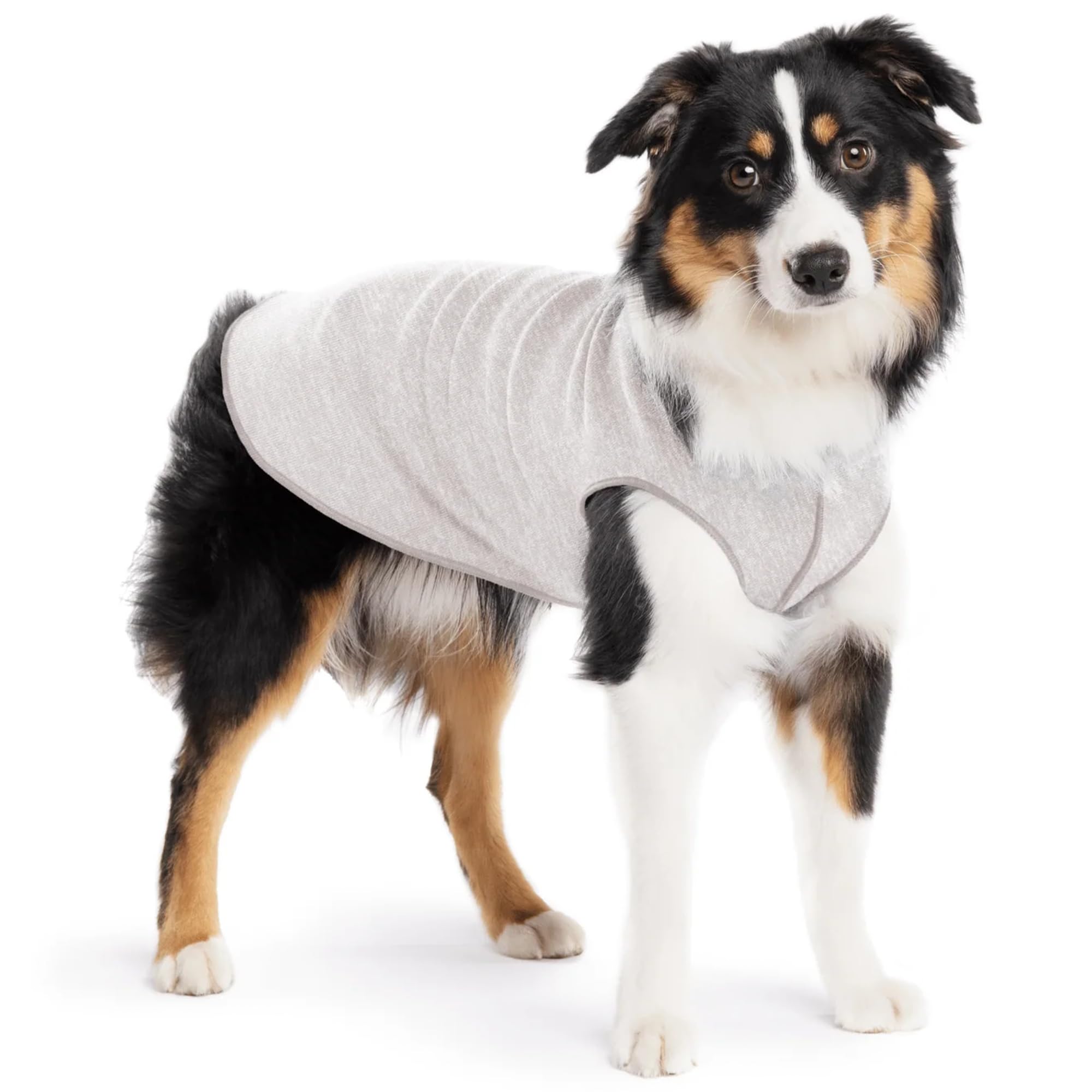 Goldpaw tee-shirt Soleil UV protège du soleil tout en restant léger