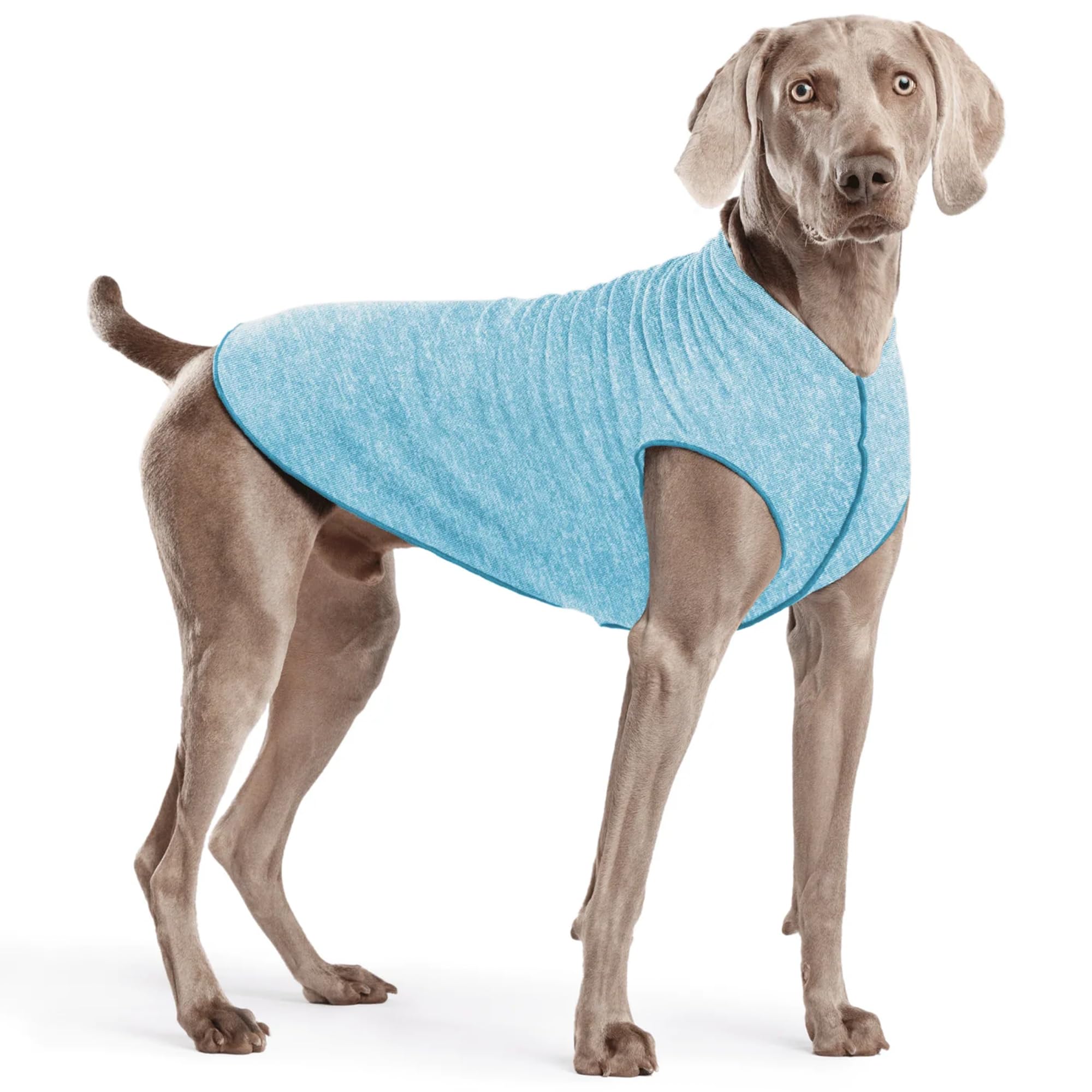 T-shirt Goldpaw pour chien en ombre bleu montrant protection UV et confort.