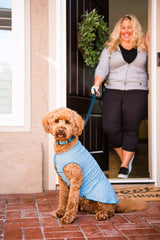 Goldpaw t-shirt refroidissant chien bleu peut être mouillé pour refroidissement rapide.