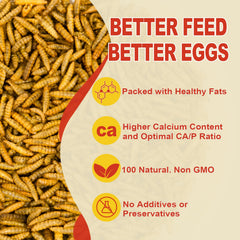 GOLDWORMS alimentation naturelle sans additifs, respectueuse de l’environnement.