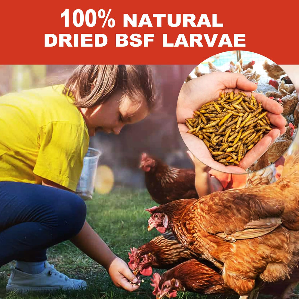 GOLDWORMS stimule le comportement de forage naturel chez les volailles.