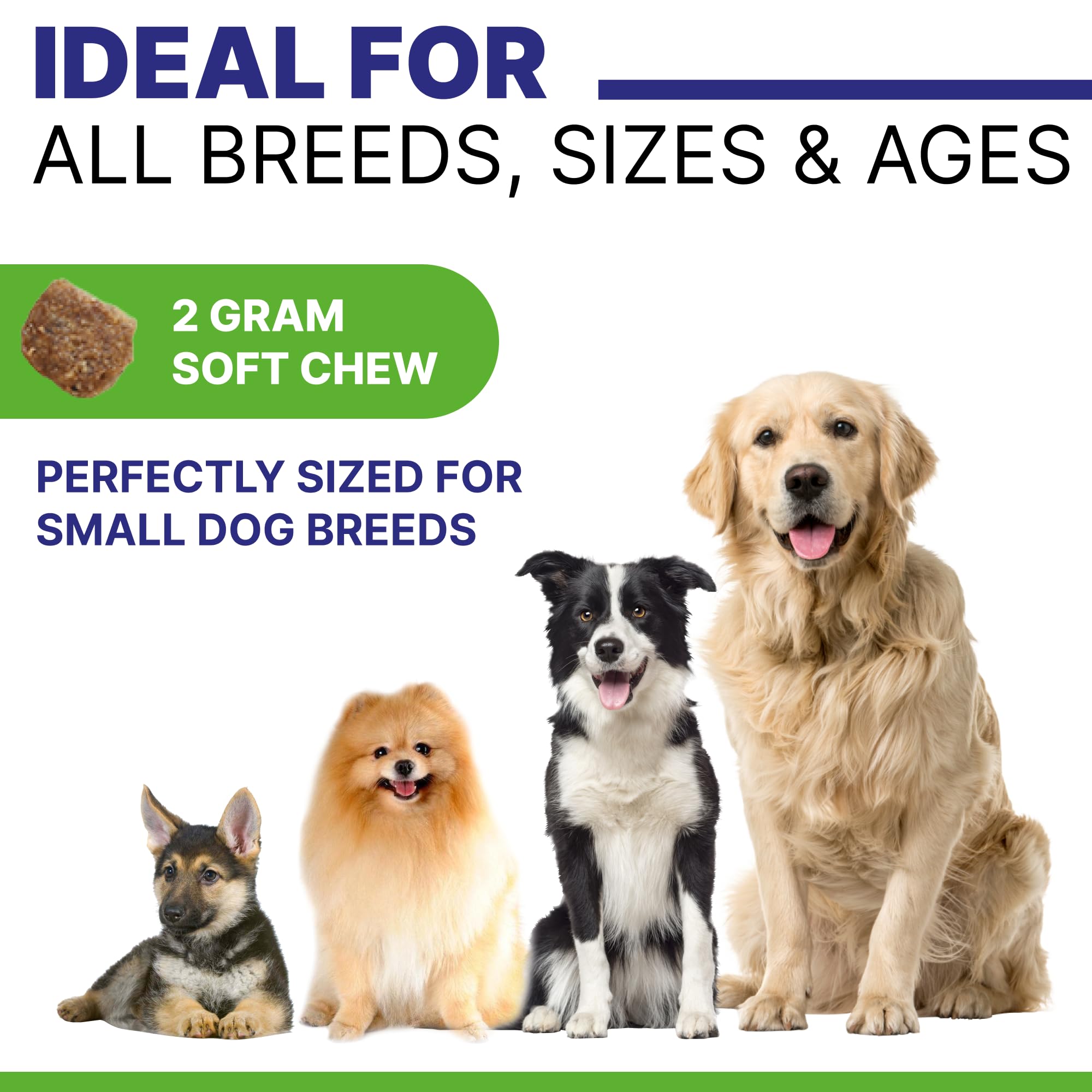 Gomme sans OGM Pawsential, image montrant l’absence d’additifs pour chien.