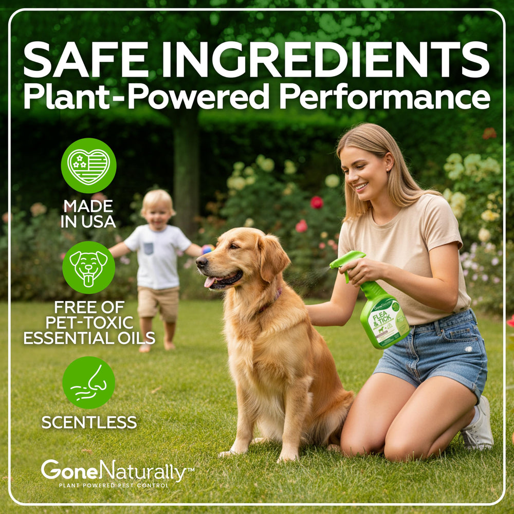 GoneNaturally application sur le poil du chien pour une diffusion uniforme.