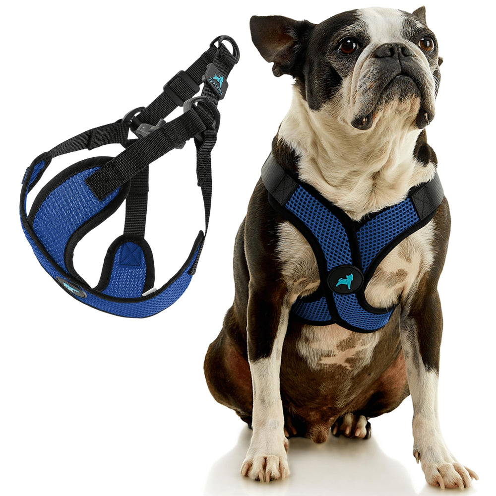 Harnais Gooby Comfort X bleu, boucle rapide facilitant l’habillage.