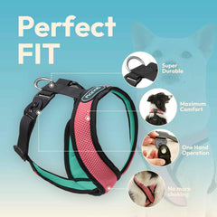 Gooby Comfort X harnais – vue boucles doubles, fermeture anti-accrochage.