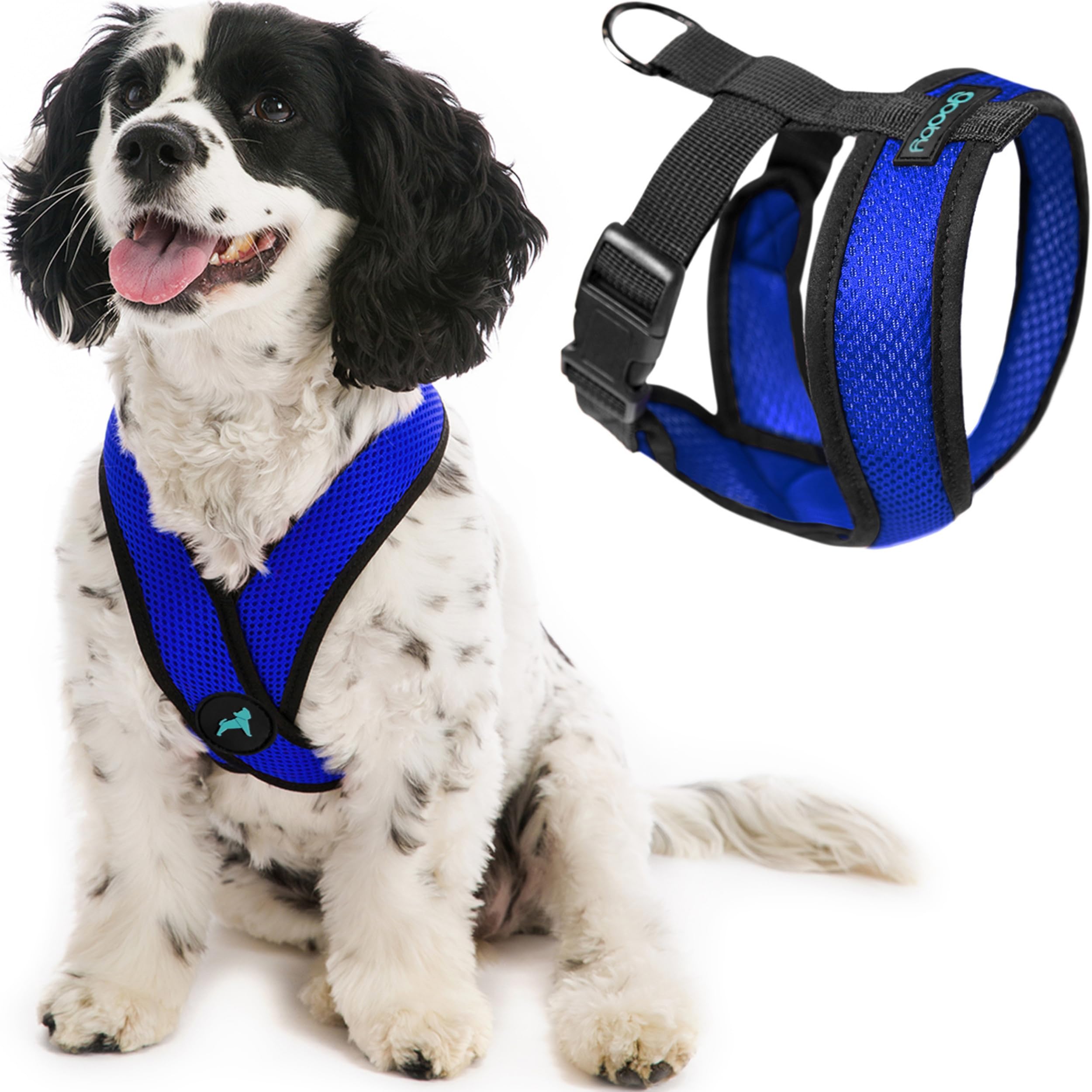 Harnais Gooby Comfort X bleu, vue face, sans étranglement pour petits chiens.