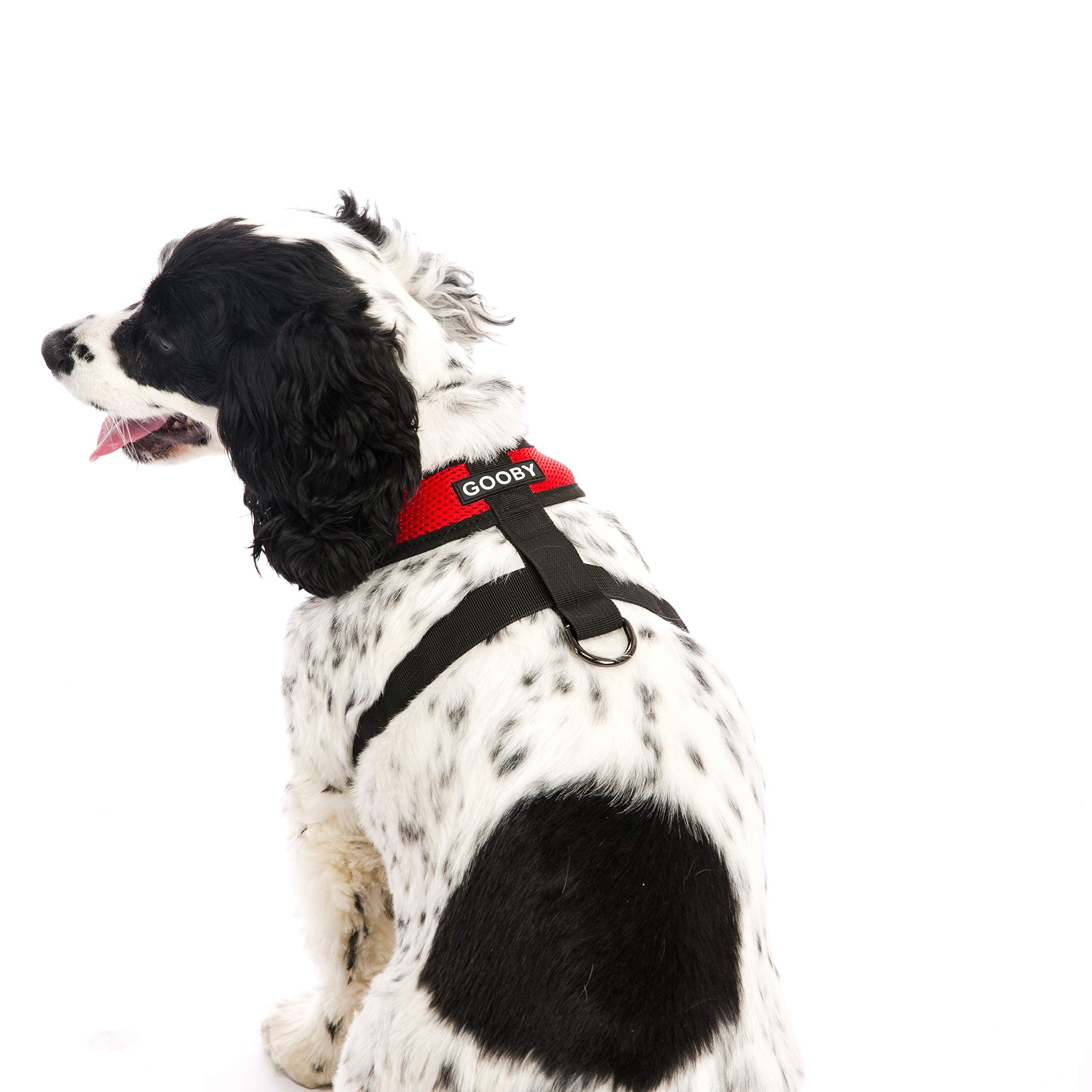 Gooby Comfort X Harnais pour petits et moyens chiens rouge, ajustement pratique
