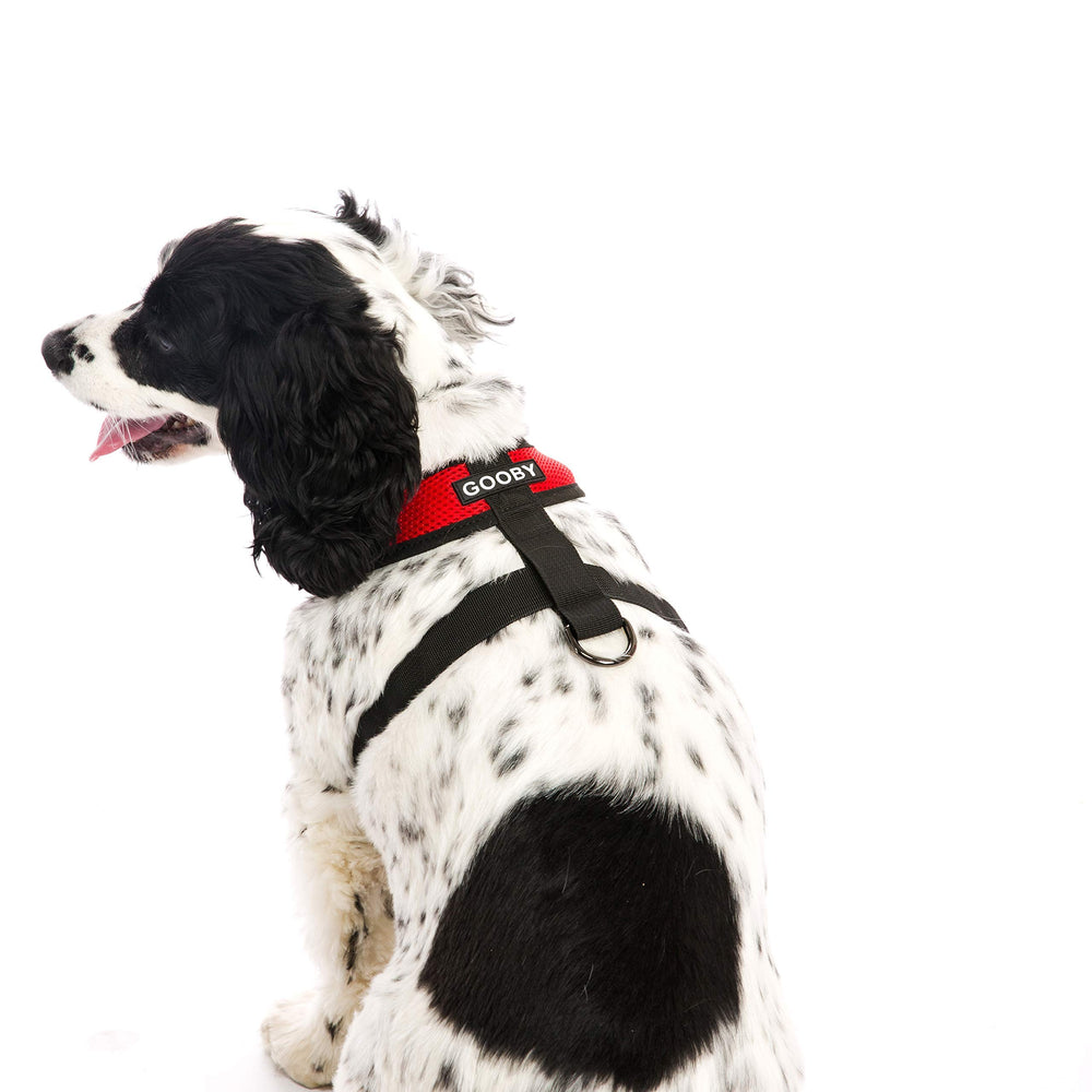Gooby Comfort X Harnais pour petits et moyens chiens rouge, ajustement pratique