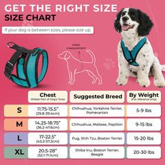 Gooby Comfort X Harnais turquoise mesh léger, idéal pour garder le chien au frais.