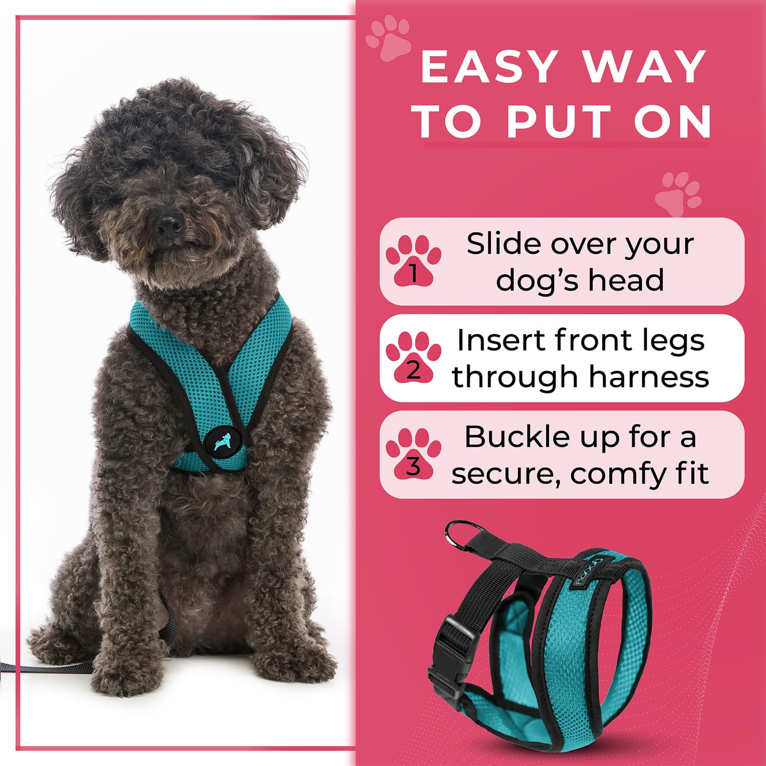 Gooby Comfort X turquoise utilisé lors d’une promenade quotidienne.