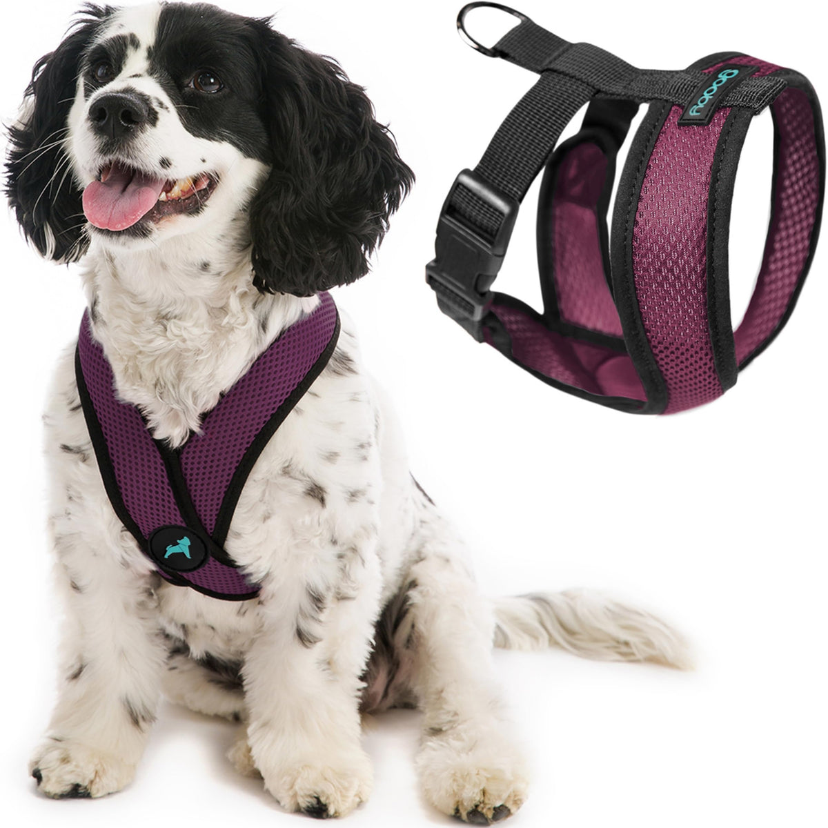 Gooby Comfort X, vue avant en violet, harnais sans traction pour petits chiens.