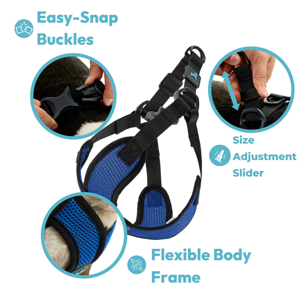 Harnais Gooby Comfort X bleu, mesh léger et respirant en utilisation.