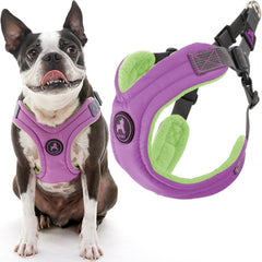 Gooby Escape Free harnais mousse mémoire pour petit chien, confort et sécurité.