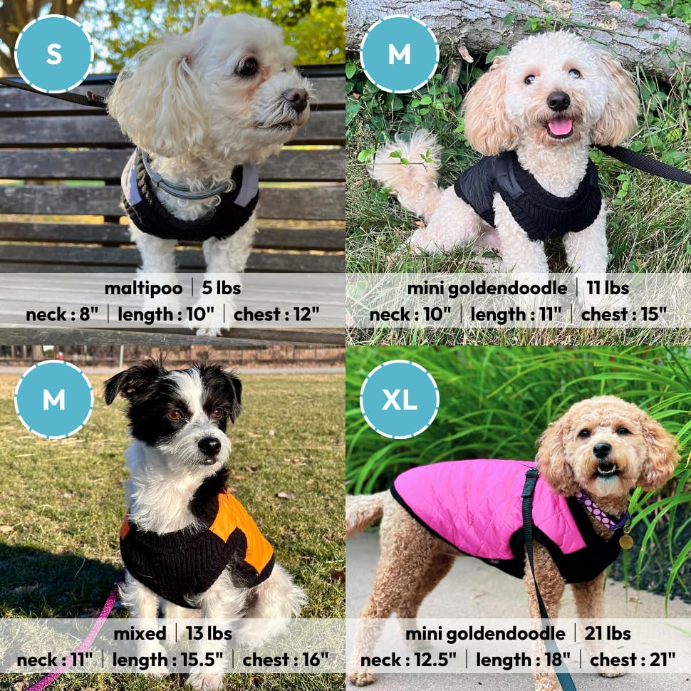 Gooby Fashion Vest violet bas elastique pour morphologies variées et confort.