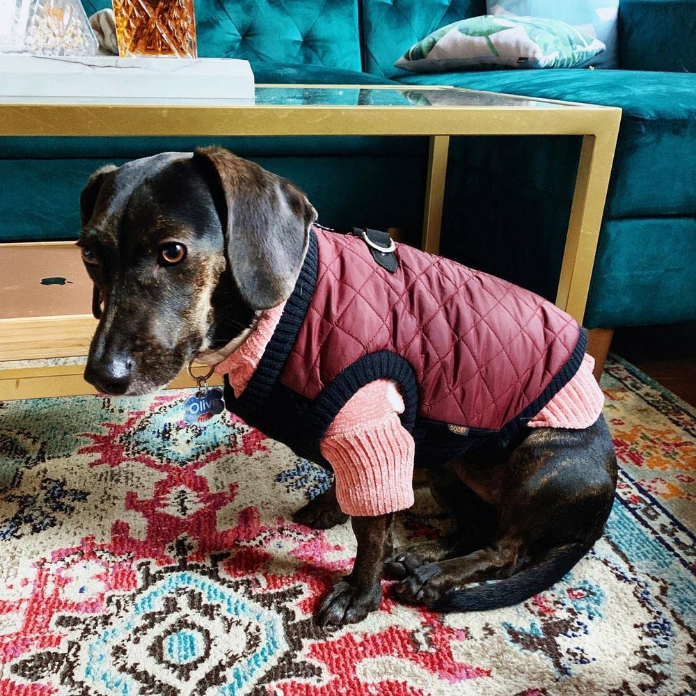 Gooby Fashion Vest violet extérieur imperméable et intérieur doux et chaud.
