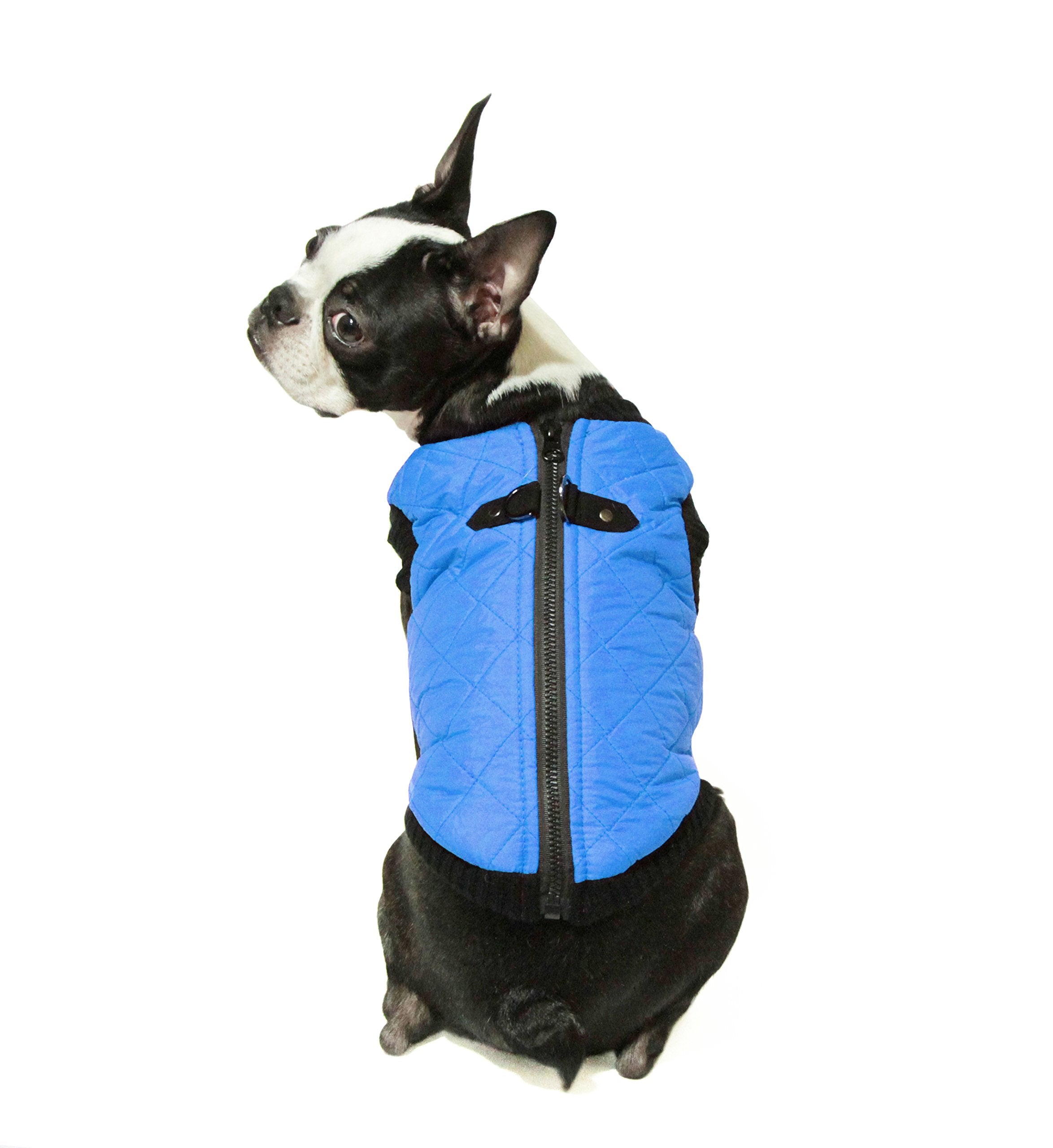 Gooby gilet bomber avec deux anneaux D sur le dos pour la laisse.