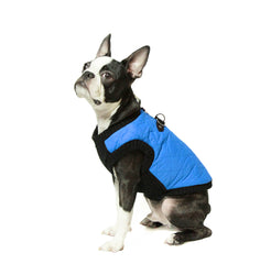 Gilet bomber Gooby bleu pour chien, chaleur et confort.