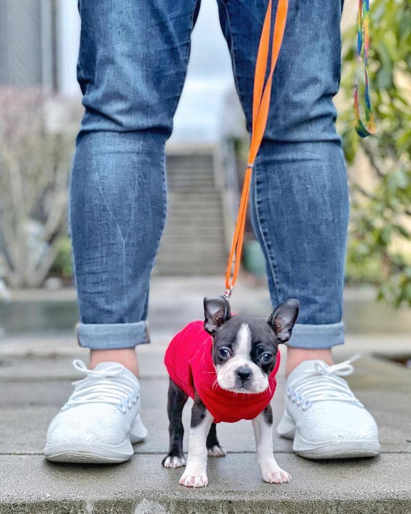 Gooby gilet polaire extensible rouge, disponible en taille moyenne.