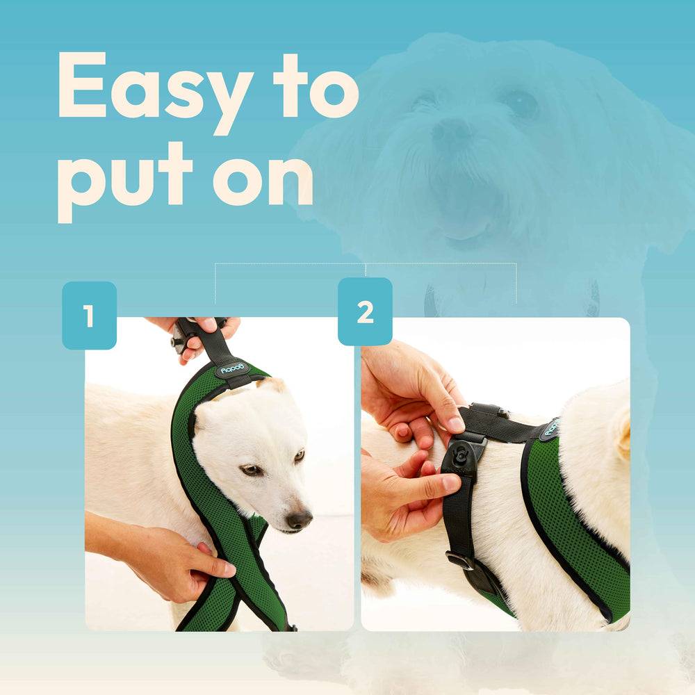Gooby Comfort X mise en place rapide pour sorties quotidiennes, pratique et rassurant.