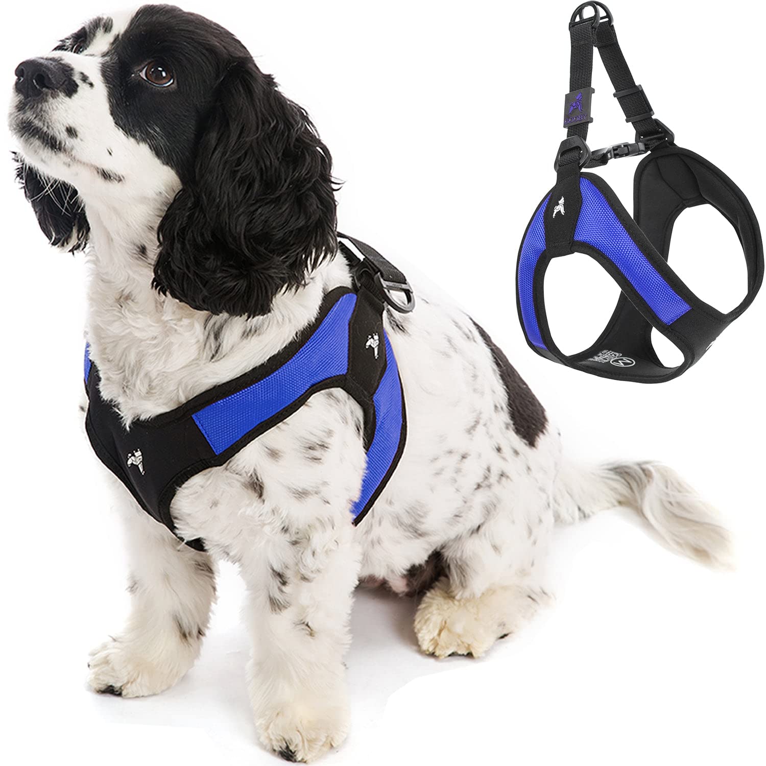 Gooby Escape Free Easy Fit harnais bleu taille large, vue d’ensemble, confort et sécurité.