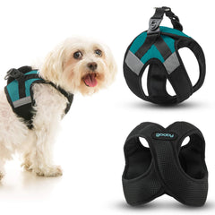 Harnais Gooby X Step-In en maille douce turquoise, petit modèle pour confort maximal.
