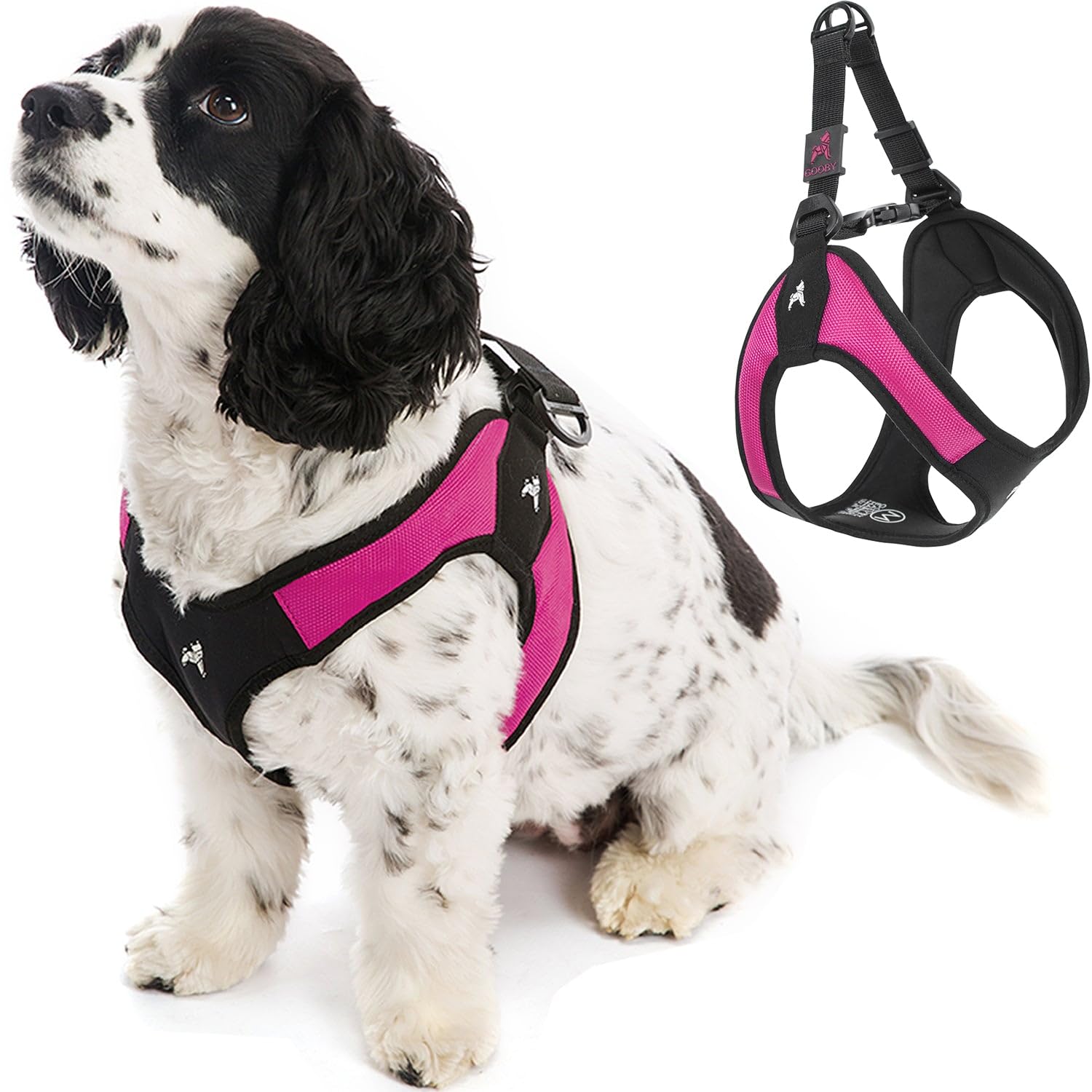 Gooby harnais anti-évasion pour petit chien, sécurité lors des balades.