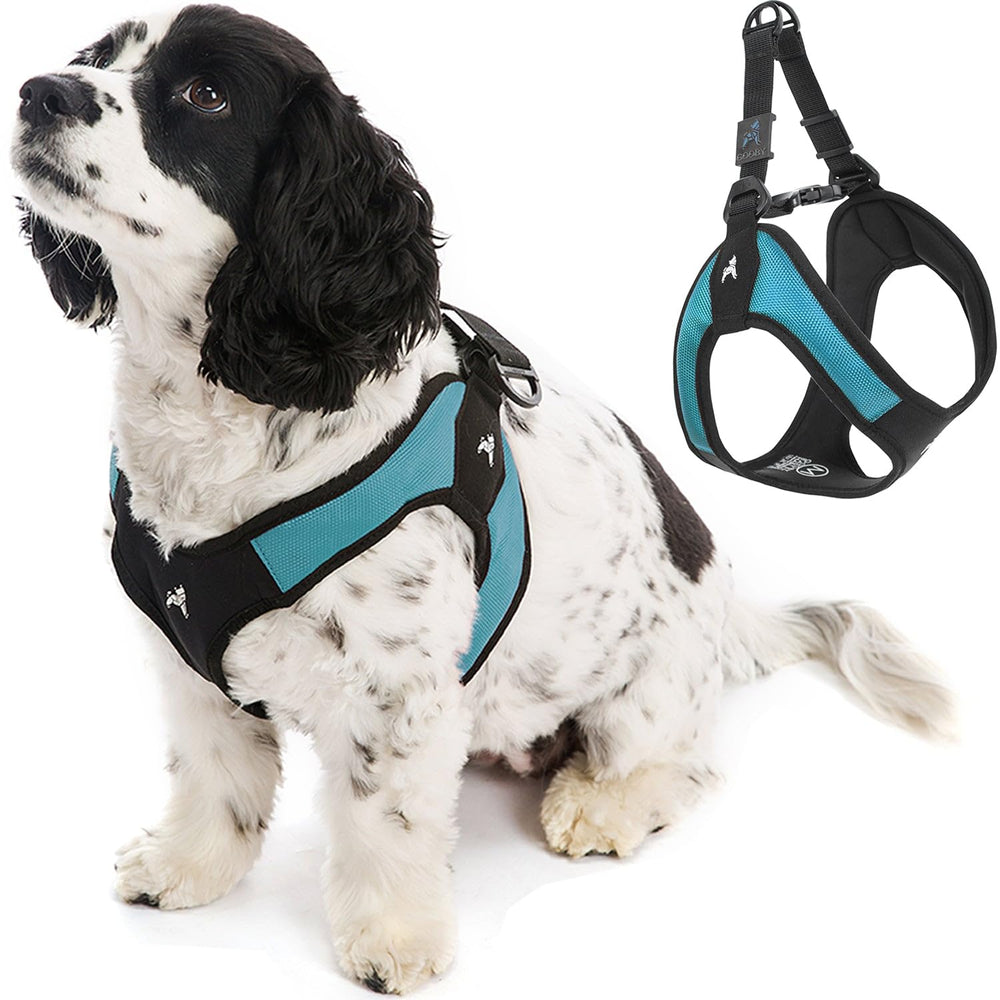 Gooby harnais anti-évasion pour petits chiens, promenade plus sécurisée.