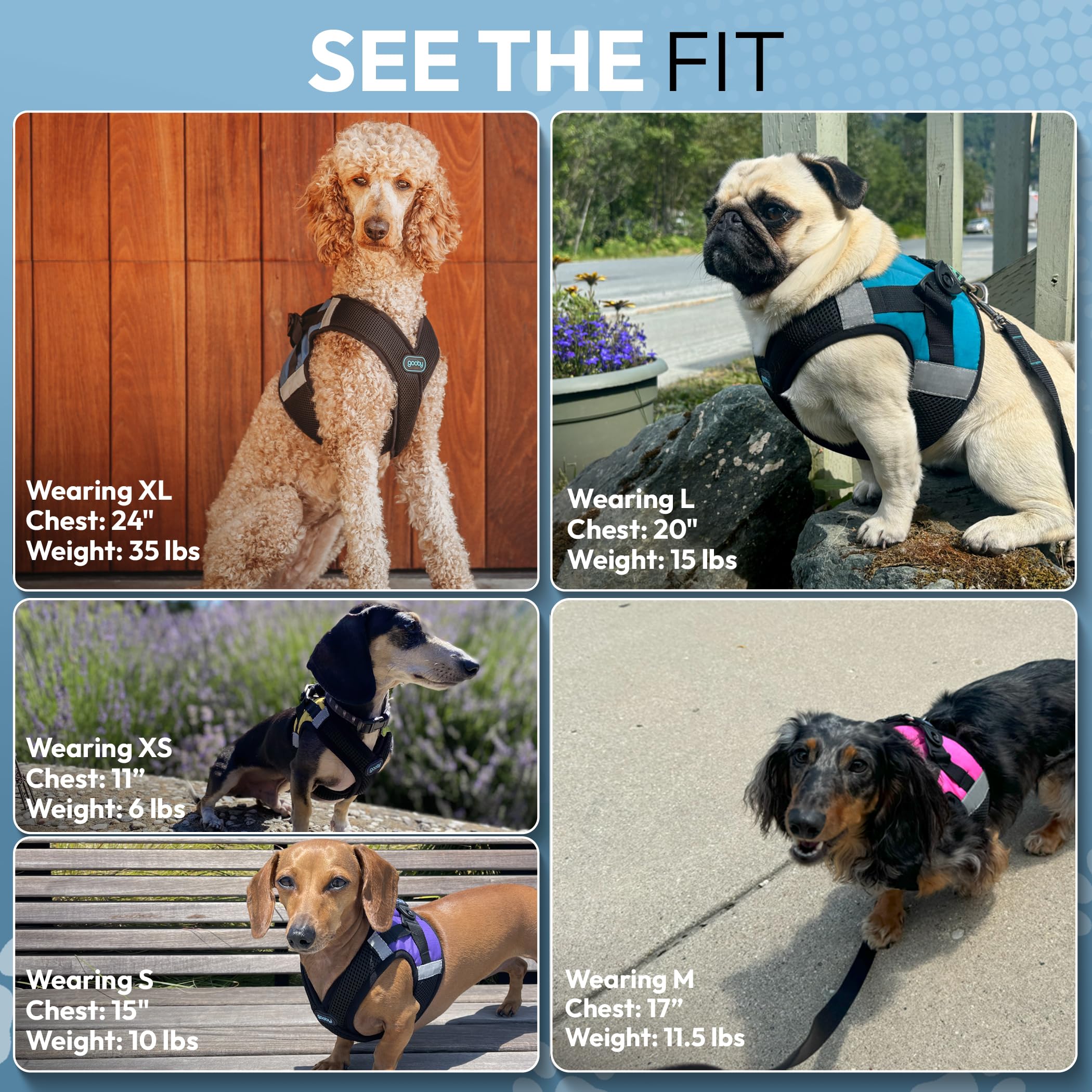 Mise en place rapide Gooby Step-In sans tirer la tête du chien violet XS.