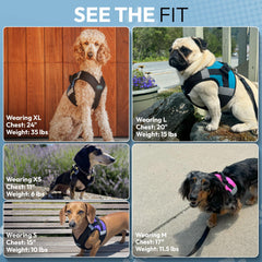 Mise en place rapide Gooby Step-In sans tirer la tête du chien violet XS.